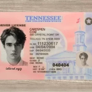 tennessee fake id (2025 version) gallery 1