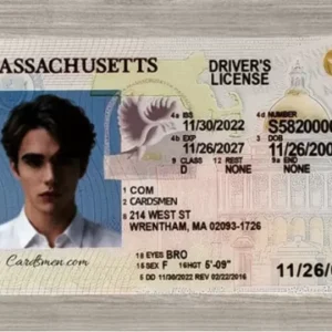 massachusetts ids gallery 1