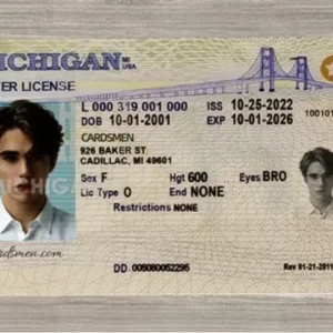 michigan ids gallery 1