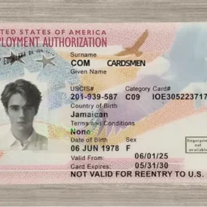 employment authorization card gallery 1