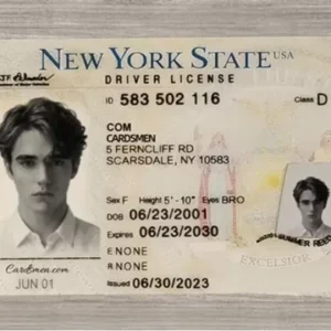 new york ids gallery 1