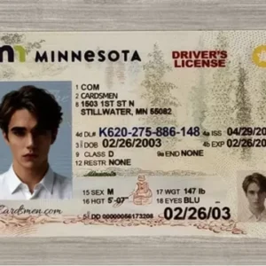 minnesota ids gallery 1