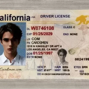 california ids gallery 1