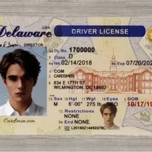 delaware ids gallery 1